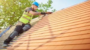 Professional Roofing services in Tennessee Ridge, TN